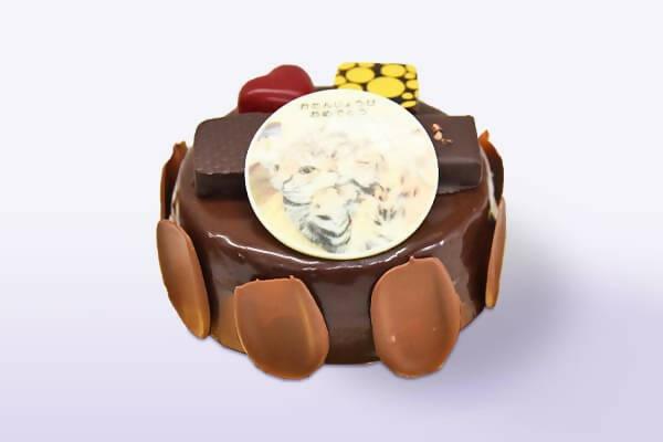 【冷凍】ボンボンショコラとフォトショコラのチョコレートケーキ | チョコレートケーキ | パンプルムース（PAMPLEMOUSSE）-チョコレートケーキ-パンプルムース（PAMPLEMOUSSE）