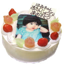 【冷凍】生クリームフォトケーキ｜ケーキ｜洋菓子工房ノエル - スイーツモール