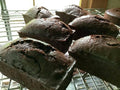 【冷凍 】発酵熟成ヴィーガンケーキ2種セット ショコラ×キャロブ｜ケーキ｜てんねんや-ケーキ-てんねんや