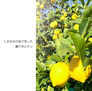 【店頭受取】ウィンタースリー 冬に飲みたいレモンコーディアル・ミニボトル3本セット｜ジュース｜レモンコーディアル専門店 果輪弥 - スイーツモール