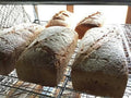 【常温】世界最古のオーガニック古代小麦アインコーンぱん 2本入｜パン｜てんねんや-パン-てんねんや