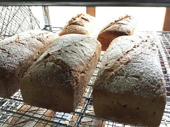 【常温】世界最古のオーガニック古代小麦アインコーンぱん 2本入｜パン｜てんねんや - スイーツモール