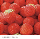 【冷蔵】北の散歩道 | クッキー | 株式会社もりもと | もりもと お 菓子・もりもと 北海道・もりもと ケーキ - スイーツモール