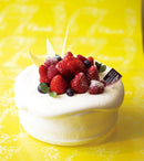 【冷蔵】シャンティ | ケーキ | パティスリーヴェルヴェンヌ｜シャンティとは｜シャンティケーキ - スイーツモール