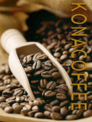 【冷凍】贈答用 コナコーヒーショコラ | チョコレートケーキ | ロイヤルハワイアンファクトリー - スイーツモール