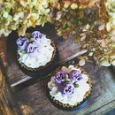 【冷凍】ヴィーガン&グルテンフリーケーキ オススメ4個セット｜ケーキ｜フォーチュンキッチン - スイーツモール