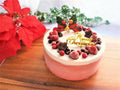 【冷凍】低糖質 ラズベリームースのクリスマスケーキ 5号 | ケーキ | ヘルシースイーツ工房マルベリー - スイーツモール