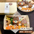 【冷凍】＜犬用＞わんこの特製ごちそうBOX｜その他｜わんこケーキgioia | わんこバーグ - スイーツモール