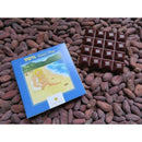 【冷蔵】チョコレート｜チョコレート｜CHOCO FOREST - スイーツモール