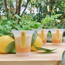 【冷凍】九州産豆乳プリンセット｜プリン｜イタリアン自然食品の店 クッチーナ・リナルド - スイーツモール