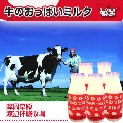 【冷蔵】牛のおっぱいミルク｜その他｜渡辺体験牧場│牛のおっぱい・牛乳 お取り寄せ・牛 乳 - スイーツモール