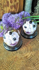 【店頭受取】ブルーベリーチーズケーキ 2個セット｜チーズケーキ｜フォーチュンキッチン - スイーツモール