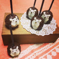 【常温】ハリネズミケーキポップス5本セット | チョコレートケーキ | Kozue-Sweets-チョコレートケーキ・ガトーショコラ-Kozue-Sweets