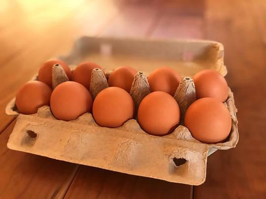 【冷蔵】たまごジャム・プリン・卵のセット | ジャム | エッグハウス川北-ジャム-エッグハウス川北