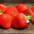 【常温】Horitaの八百屋ホロホロクッキー 苺 | クッキー | HORITA - スイーツモール