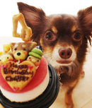 【冷凍】塩不使用 レアチーズケーキ ハッピーピュアチーズ プチサイズ | ケーキ | はなとしっぽ | 犬 チーズ ケーキ - スイーツモール