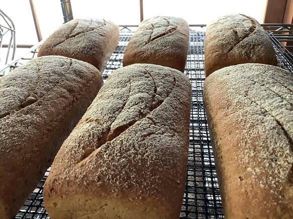 【常温】世界最古のオーガニック古代小麦アインコーンぱん 2本入｜パン｜てんねんや - スイーツモール