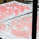 【常温】イチ オシ 食べる宝石スイーツ！　金沢 琥珀糖 | 飴 | HORITA｜琥珀 糖 通販｜琥珀糖おすすめ｜宝石 飴 | 鉱物お菓子 - スイーツモール