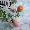 【冷蔵】mihopan ラッキー ポップケーキ 5本セット | ケーキ | ミホパンポップケーキ - スイーツモール