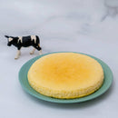 【冷凍】駒ヶ根高原チーズケーキ｜チーズケーキ｜駒ヶ根ファームス おみやげショップこまかっぱ | 駒ヶ根 ケーキ - スイーツモール