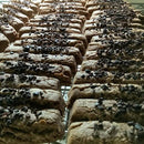 【常温】ヴィーガンショートブレッドバー 20本入り｜焼き菓子｜てんねんや - スイーツモール