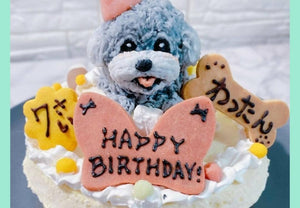 【冷凍】犬用 うちの子ケーキ イベント バースデー | ケーキ | BIBICHE（ビビッシュ） - スイーツモール