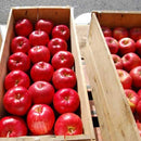 【常温】ふわふわ和風ブッセ | ブッセ | HORITA - スイーツモール