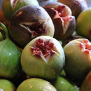 【常温】ふわふわ和風ブッセ | ブッセ | HORITA - スイーツモール