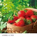 【冷凍】ふらの雪どけチーズケーキ | チーズケーキ | 株式会社もりもと | 富良野チーズケーキ | ふらのチーズケーキ | 富良野/スイーツ - スイーツモール