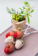 【冷蔵】イチゴのブーケ ポップケーキ 5本セット | ケーキ ・ポップ チョコ 花束・ いちご ブーケ・いちご 花束・華やかなケーキ・ポップショコラブーケ・いちごの花束 ・薔薇 チョコ 花束・チョコレート 花束 ギフト| ミホパンポップケーキ - スイーツモール