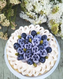 【冷凍】ブルーベリーチーズケーキ ホール ｜チーズケーキ｜フォーチュンキッチン - スイーツモール