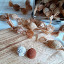 【冷凍】RAW &Vegan /ロー&ヴィーガン チョコの通販・お取り寄せ | チョコレート | Maple Raw | ヴィーガンスイーツ - スイーツモール