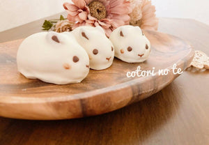 【冷蔵】うさぎケーキ | チョコレートケーキ | 菓子工房cotori no te-チョコレートケーキ-菓子工房cotori no te