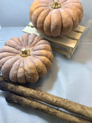 【店頭受取】江戸東京野菜ケーキ｜ケーキ｜和菓子たちばな（橘点心庵） - スイーツモール