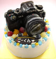 【冷凍】カメラの立体ケーキ | ケーキ | ケーキ工房モダンタイムス - スイーツモール